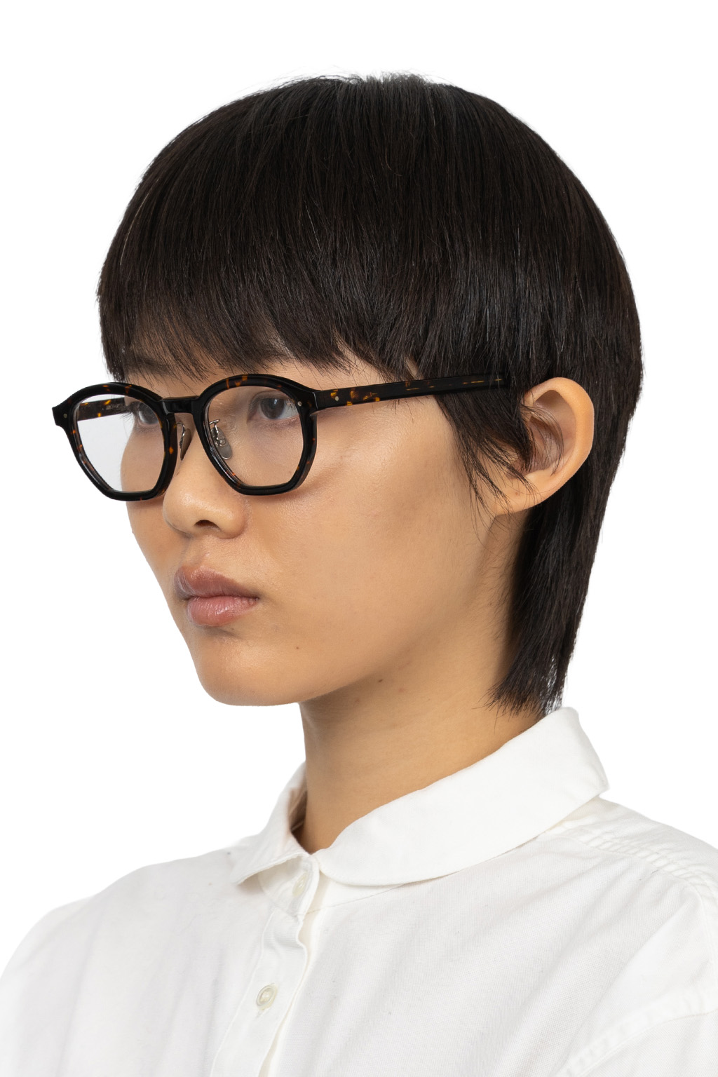 ARCH OPTICAL - Aa-HEG II - HVN