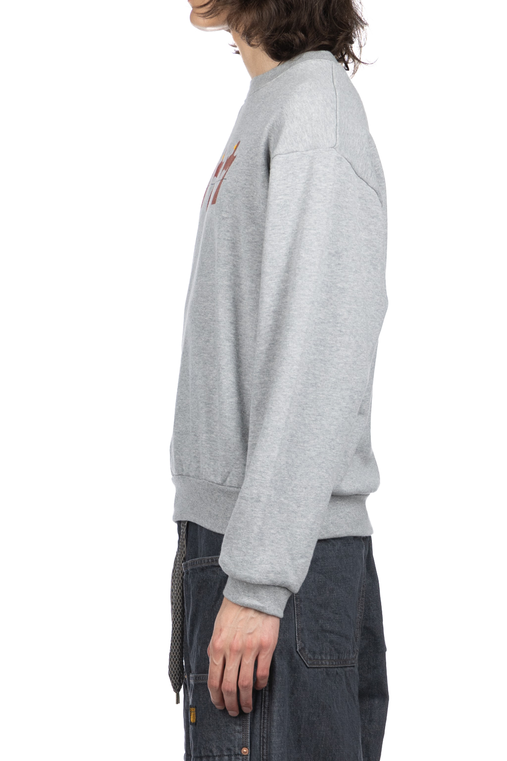 Kapital - 30-Knit Crew Sweatshirt (LUCKY BATTERY BIRD) - Grey