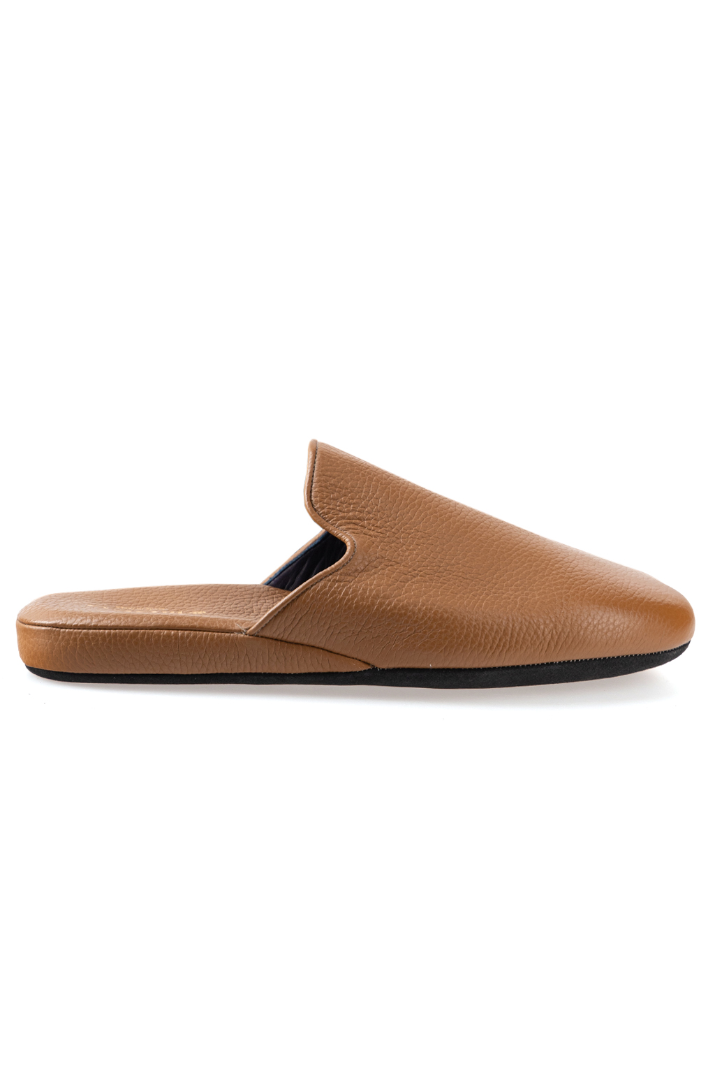SANAX Toronto