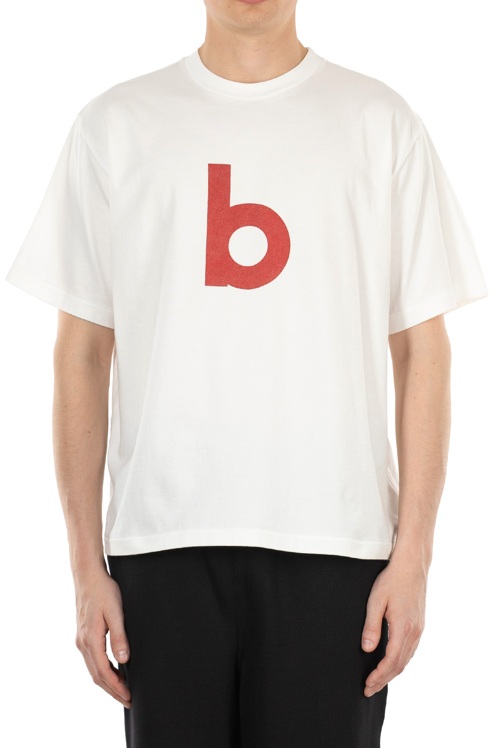 blurhms Toronto